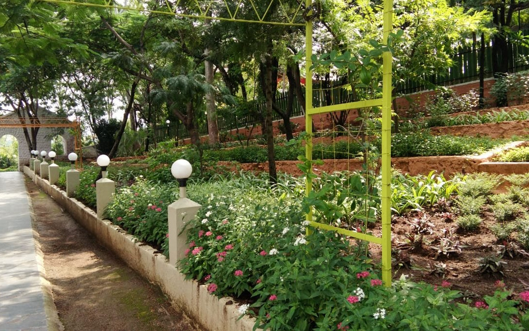 Capital O74270 Winds Flower Resort主图