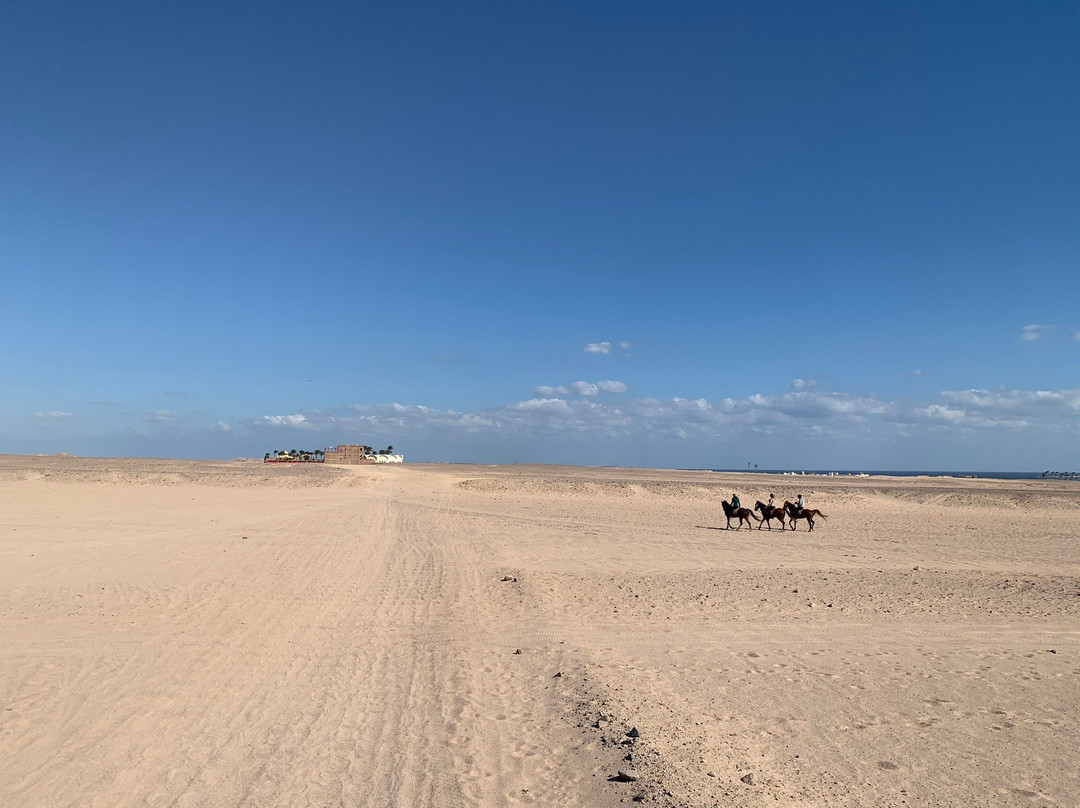 Sharm-达哈卜必去景点