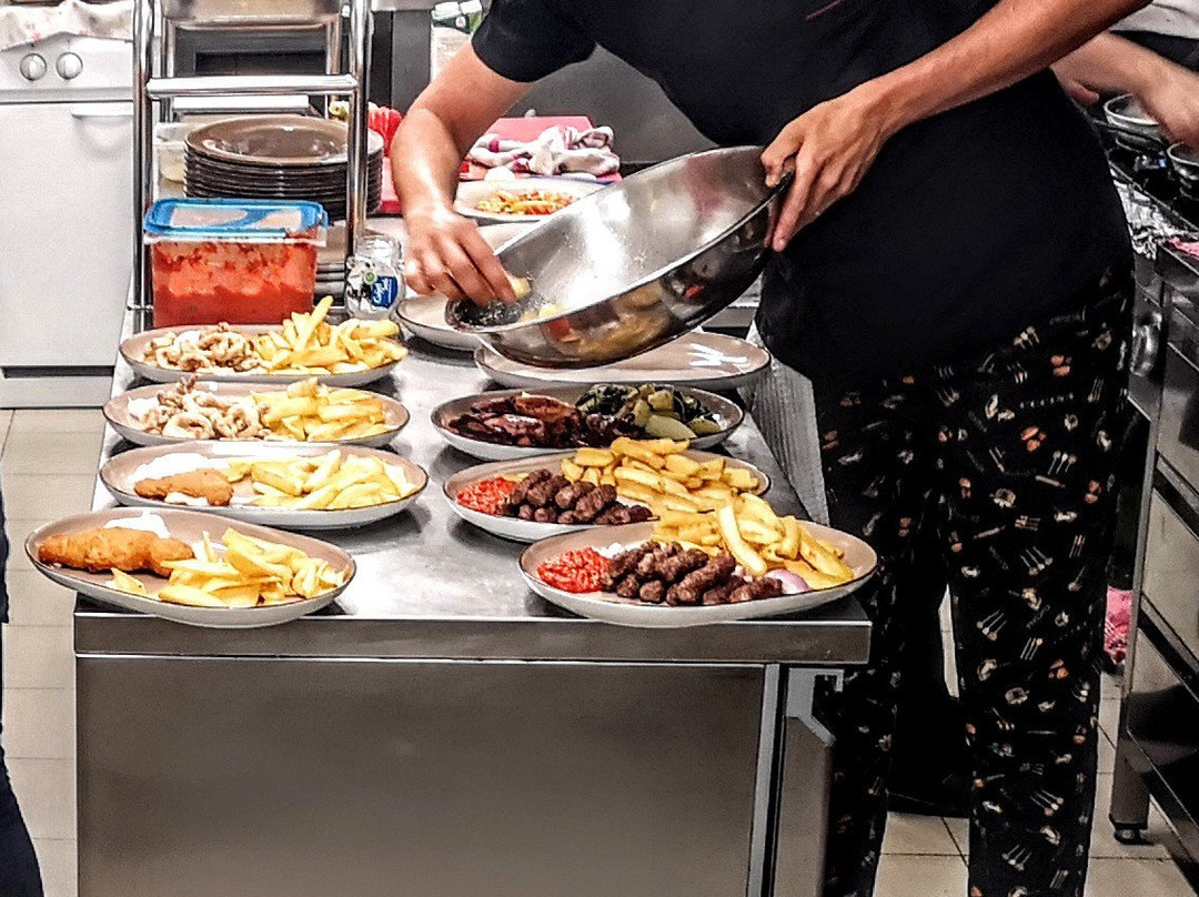 Pansion Karoca主图