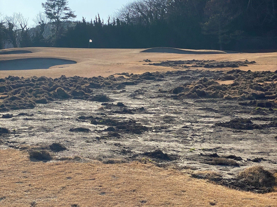 Izu Shimoda Country Club-南伊豆町必去景点