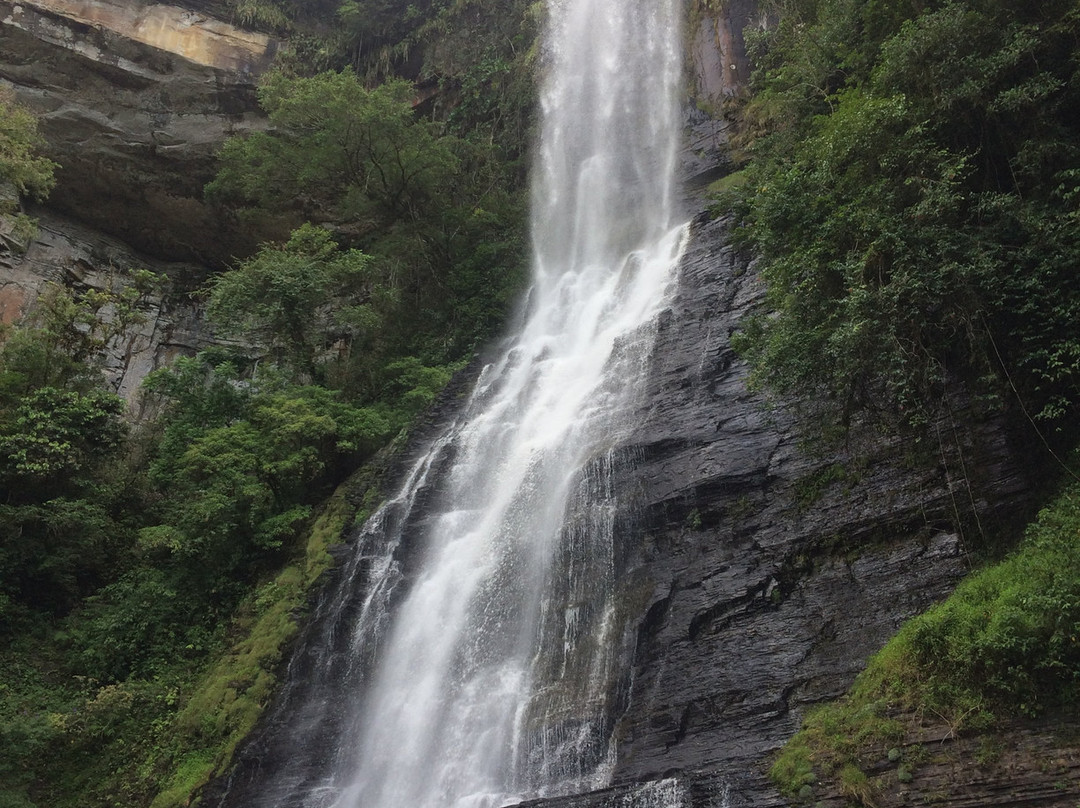 Cachoeira Salto do Zinco-Benedito Novo必去景点