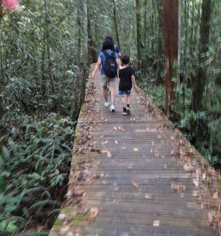 Bukit Lima Forest Park景点图片