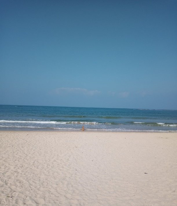 Marina Beach Passikudah主图