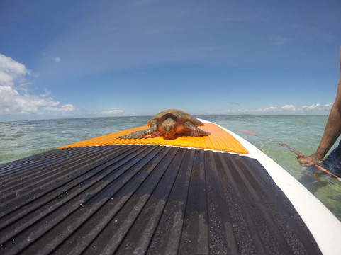 Coroa Vermelha Island-Nova Vicosa必去景点