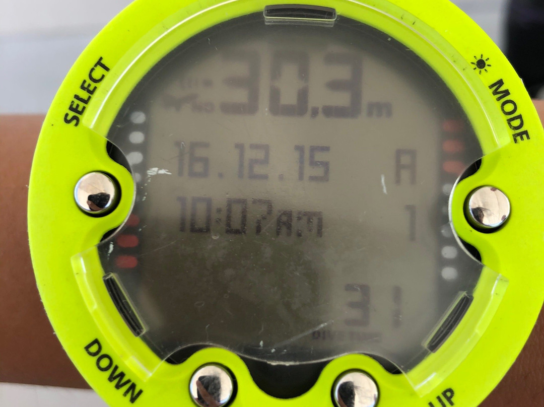 潜水度假村主图