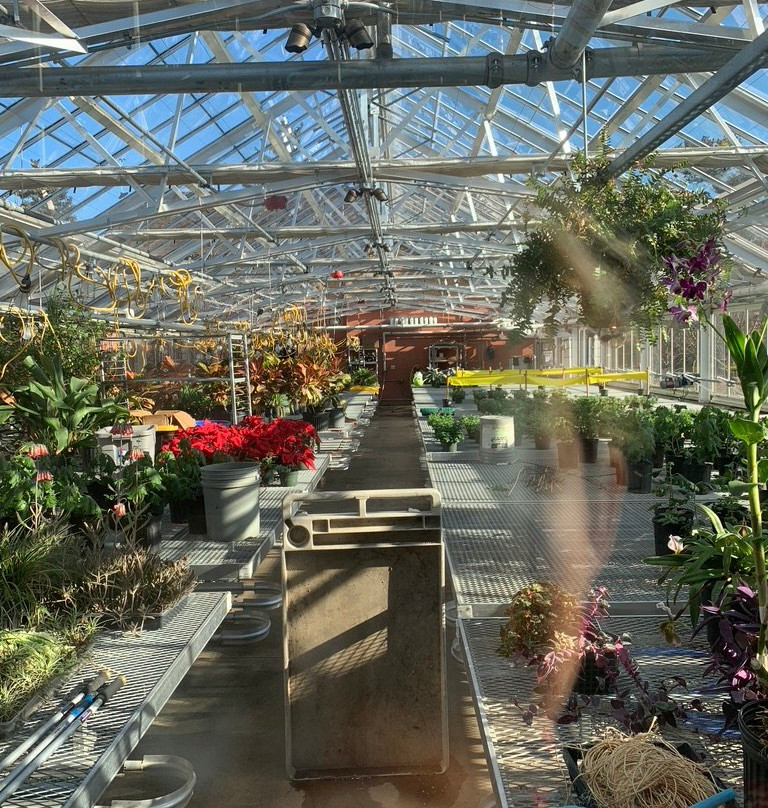 Wilder Park Conservatory-Elmhurst必去景点