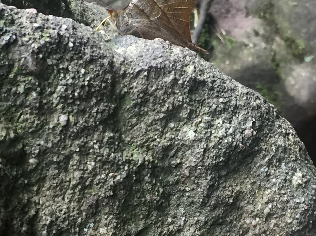 Sendero Ecologico la Zarza-Duitama必去景点