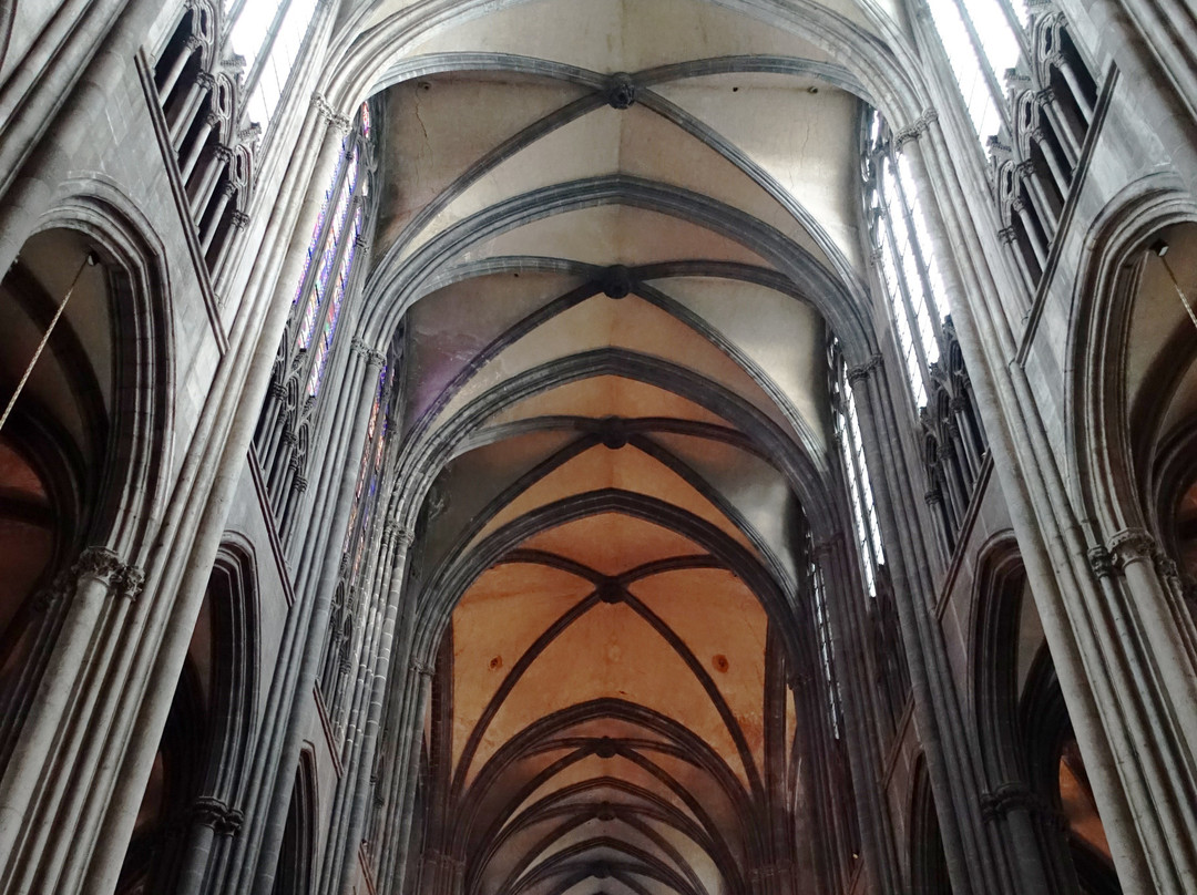 Cathedrale Notre-Dame-de-l'Assomption景点图片