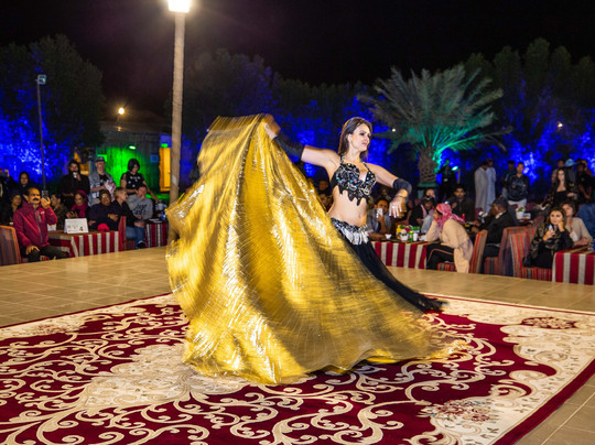 Royal Vision Tourism-迪拜必去景点