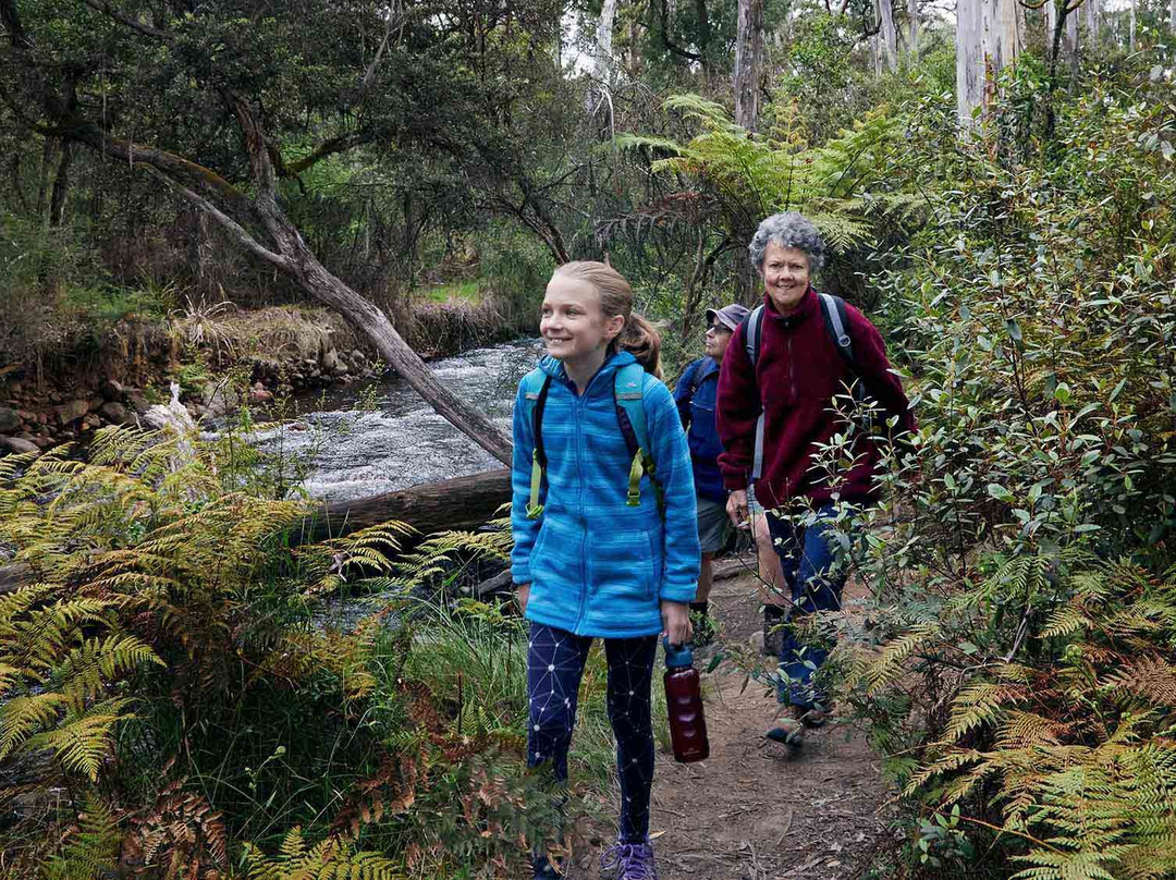 Cathedral Range State Park-Taggerty必去景点