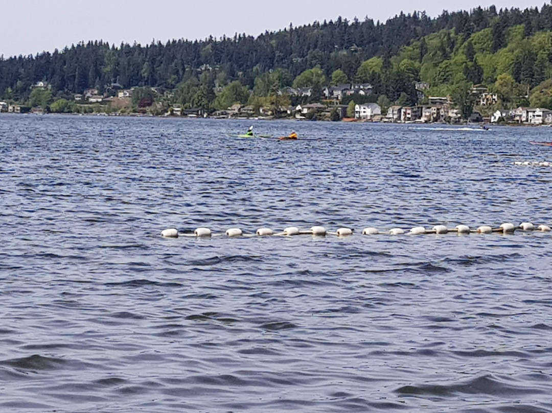 Lake Sammamish State Park景点图片