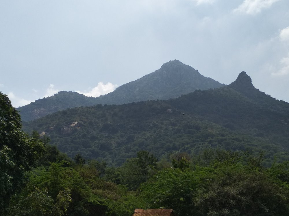 Sri Ramanasramam景点图片