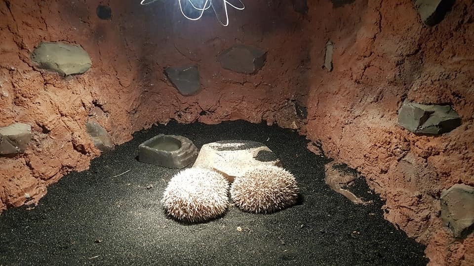 Play Aquarium Bucheon-富川市必去景点