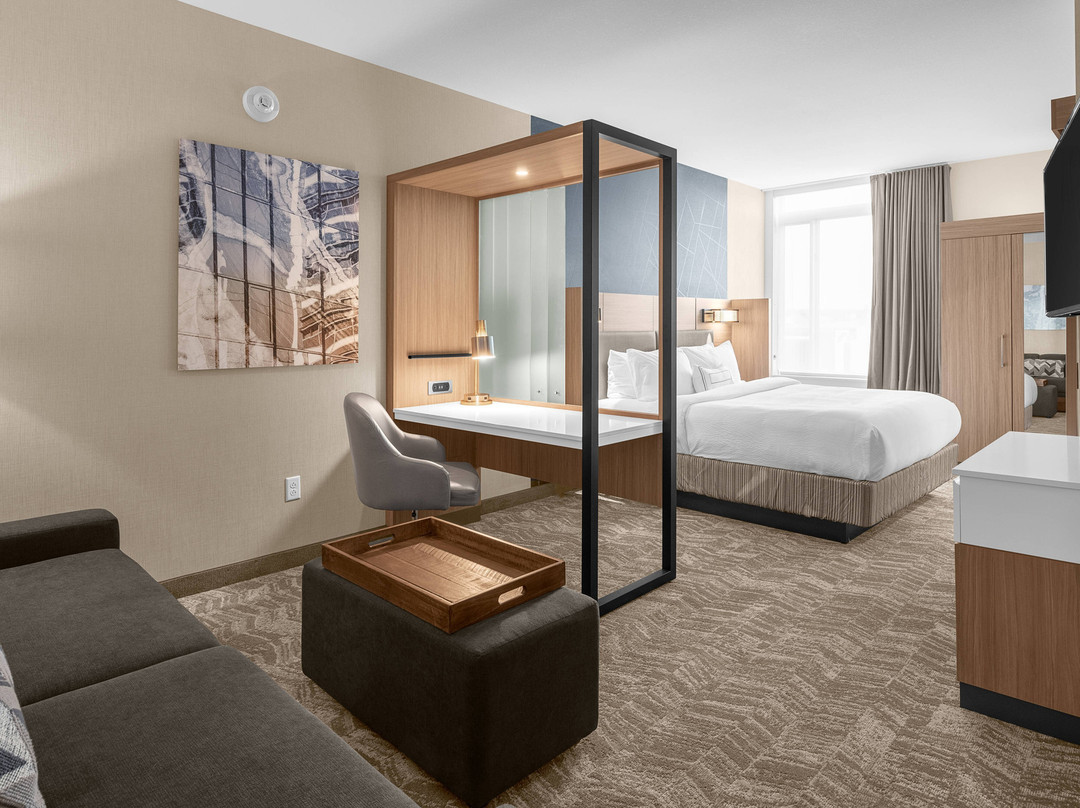 SpringHill Suites by Marriott Jackson主图