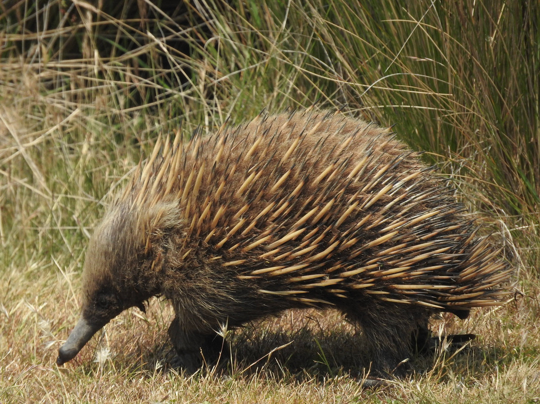 森林漫步小屋酒店主图