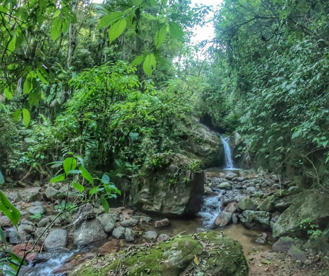 Recanto Grunenberg主图