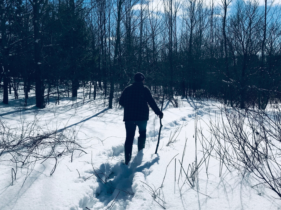 The Glen Huron Inn主图