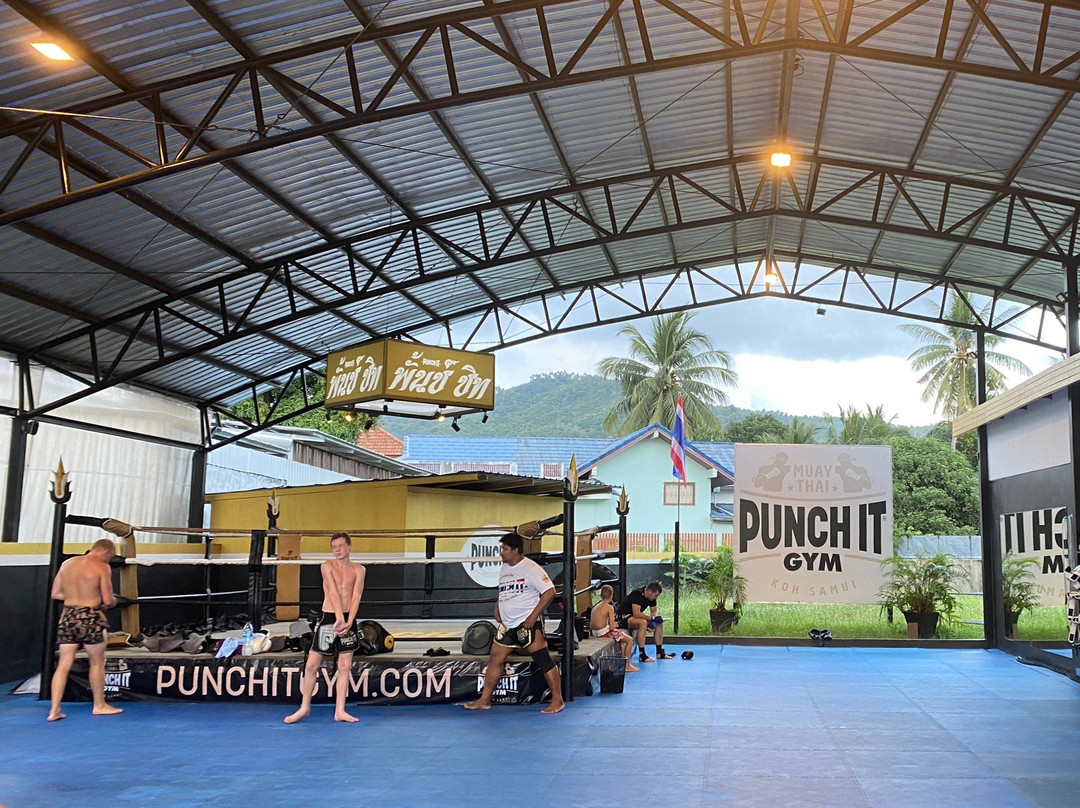 Punch it Muay Thai Gym景点图片