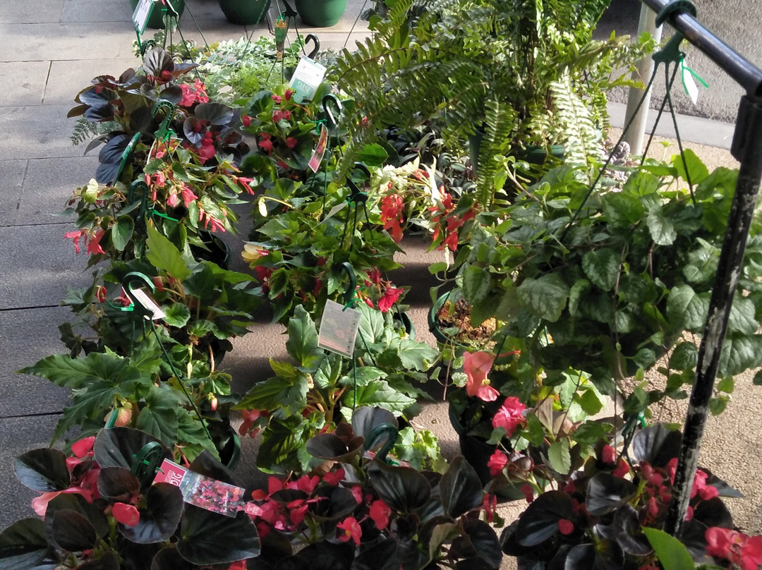 Loch Village-Loch必去景点