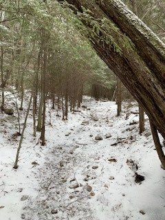 Lye Brook Falls-曼彻斯特必去景点