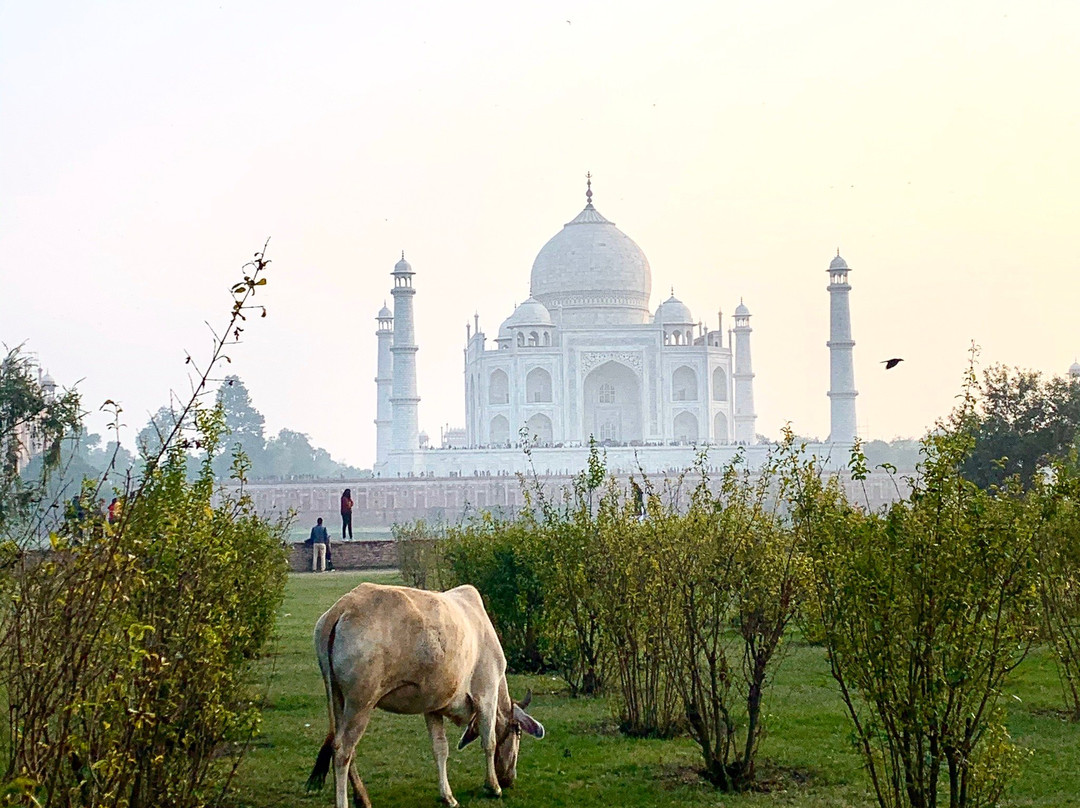 The Majestic Agra Tours and Sightseeing景点图片