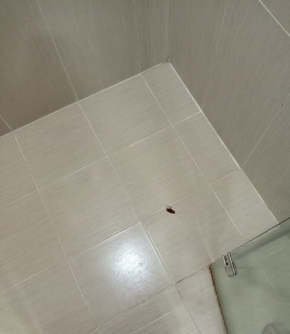 Lam Kinh Hotel-官方