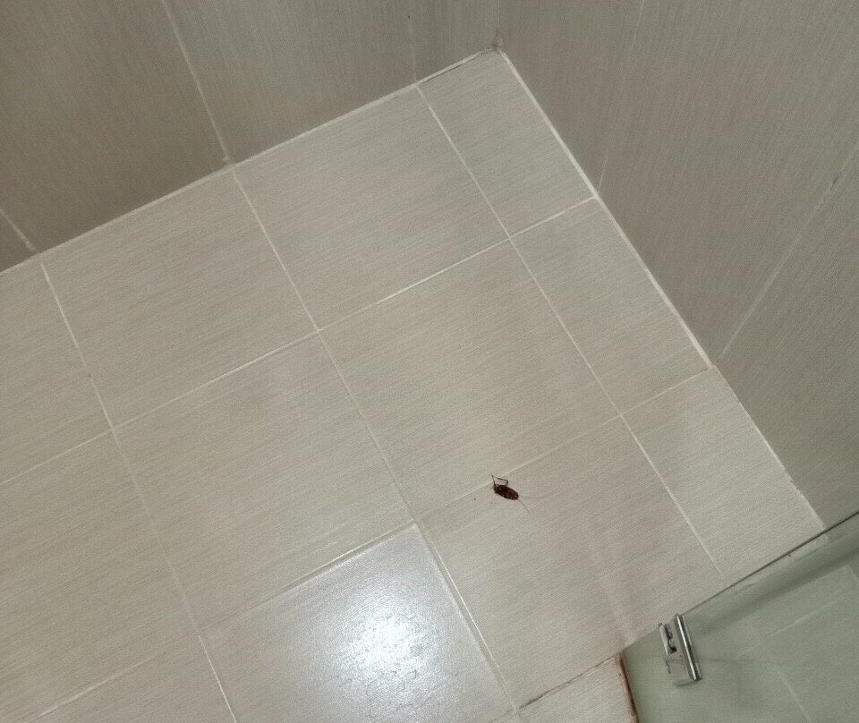 Lam Kinh Hotel主图