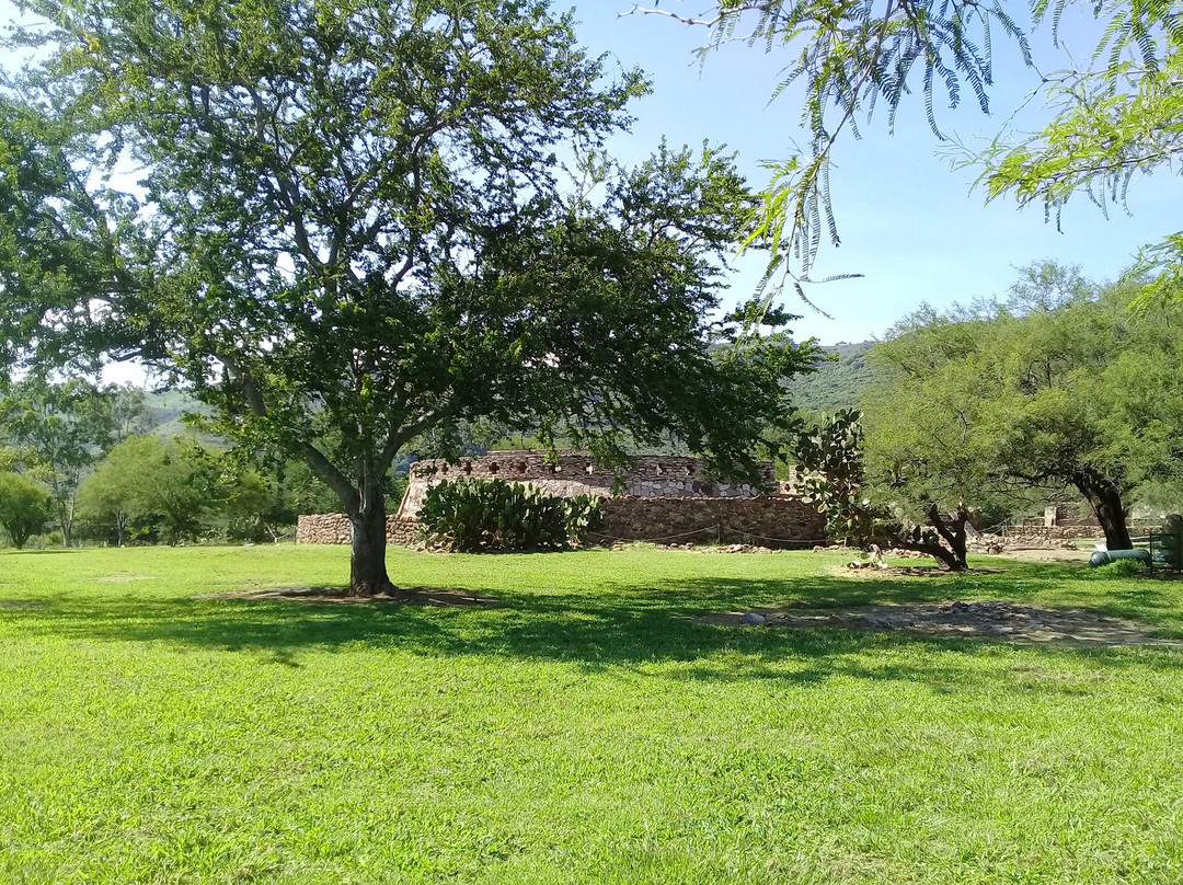 Ixtlán del Río Archaeological Site-Ixtlan del Rio必去景点