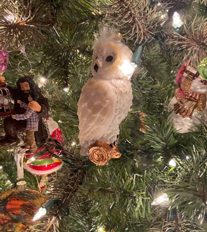 Pemberley House Bed and Breakfast主图