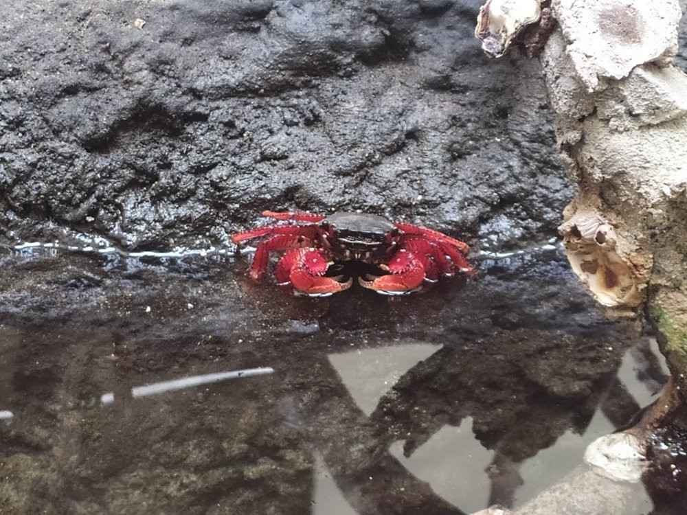 Aquario Marinho-巴拉那瓜必去景点