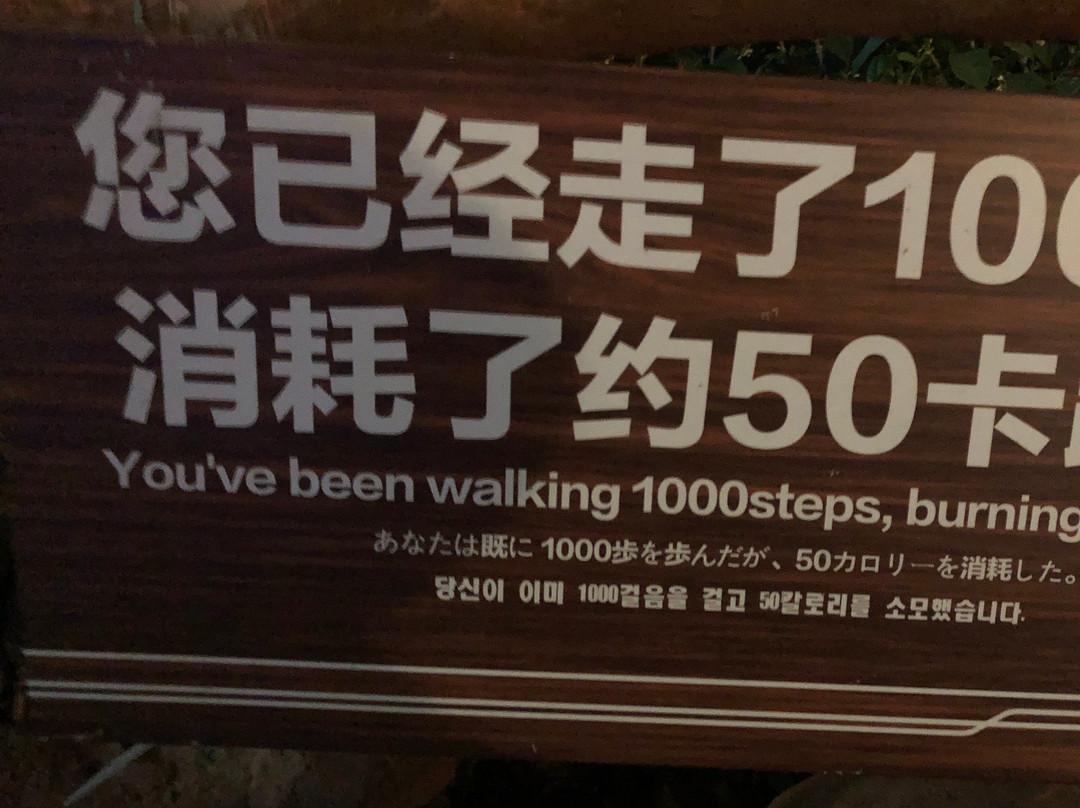 黄腾峡天门悬廊景点图片