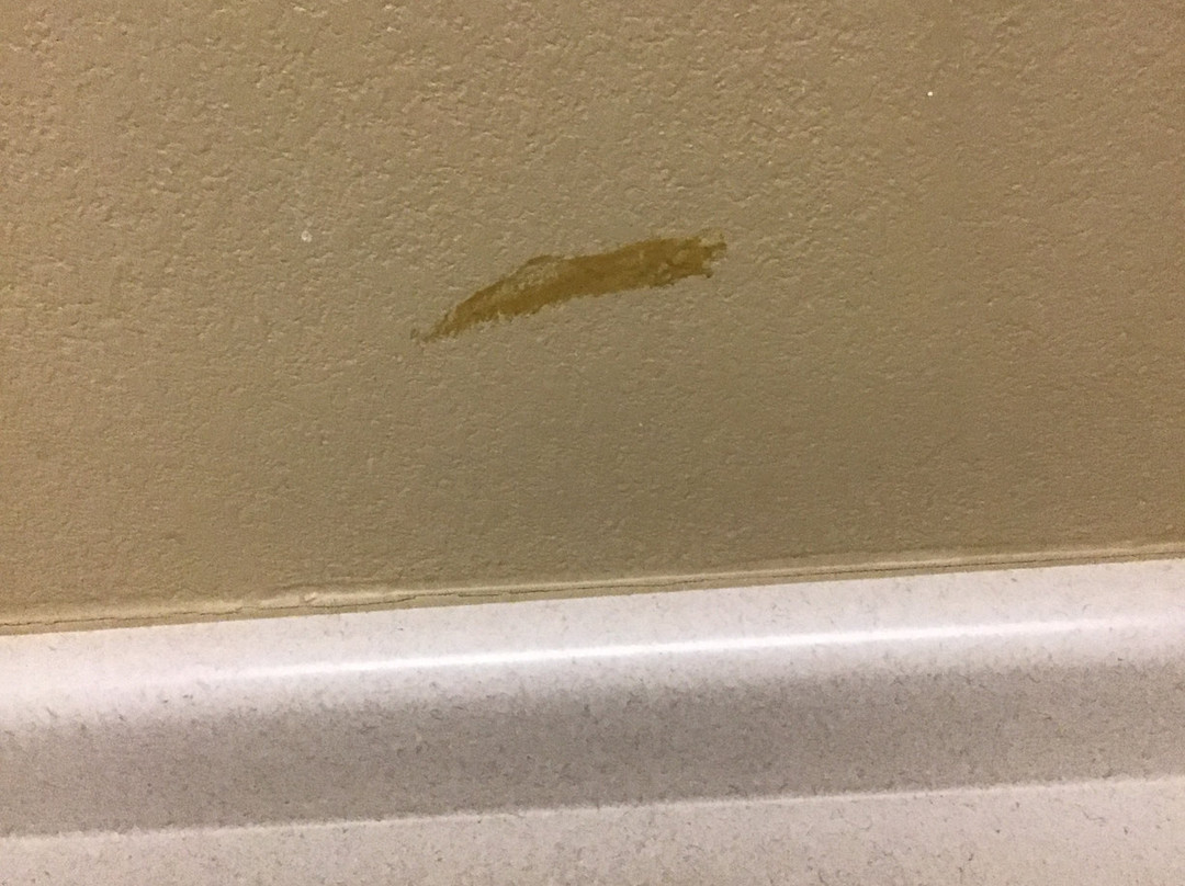 Extended Stay America - Philadelphia - Airport - Bartram Ave.主图