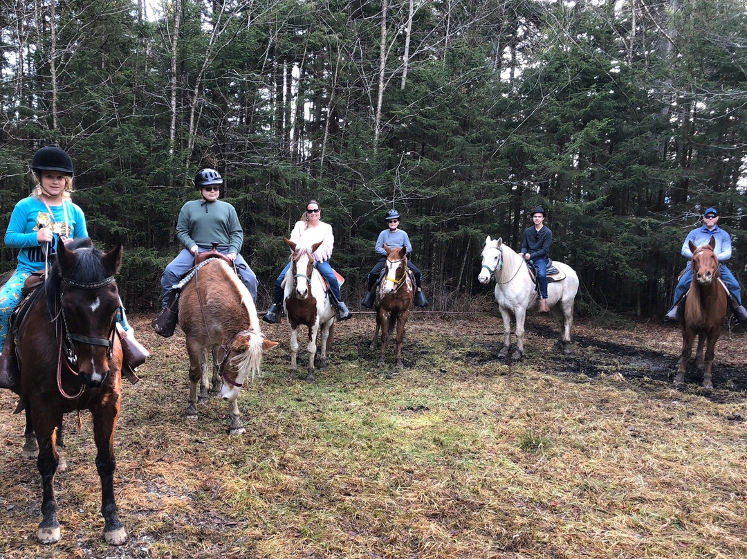 Cheat Mountain Stables-雪鞋山必去景点