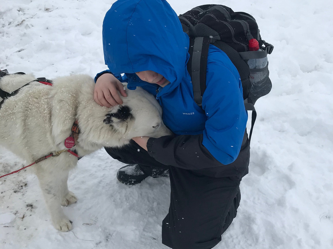 Fundog Husky Sleigh Rides景点图片