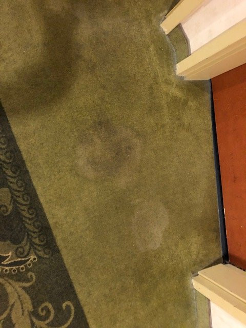 Comfort Suites Canton - Detroit主图