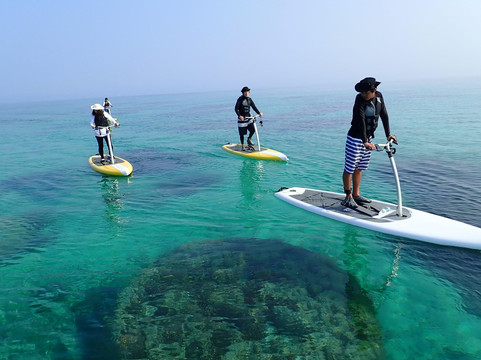 マスタークルーズ-石垣市必去景点