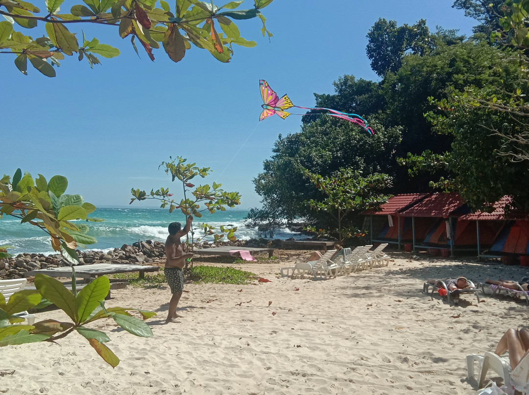 椰子海滩别墅主图