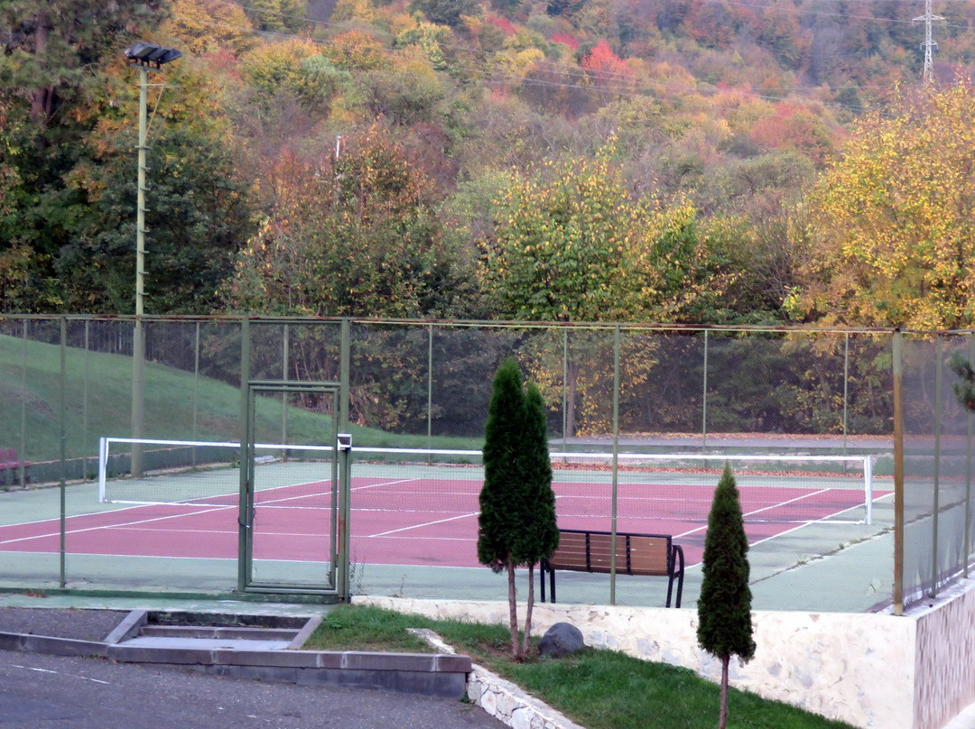 Hotel Dilijan Resort主图