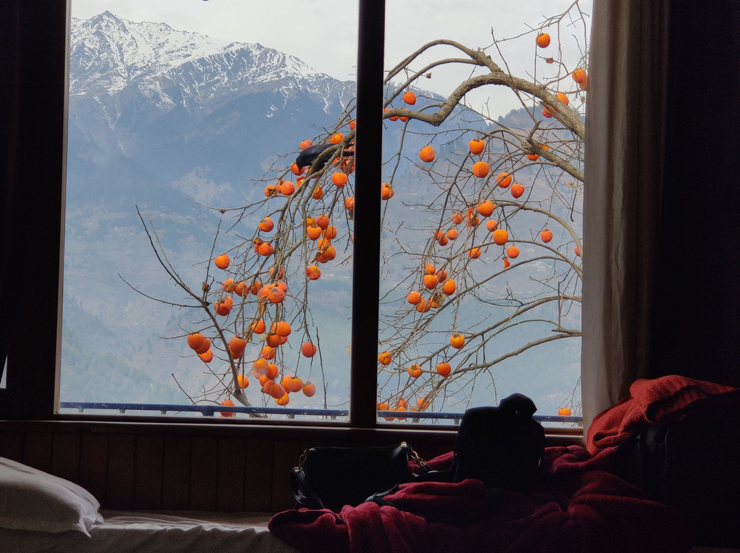 Himalayan Brothers Adventure主图