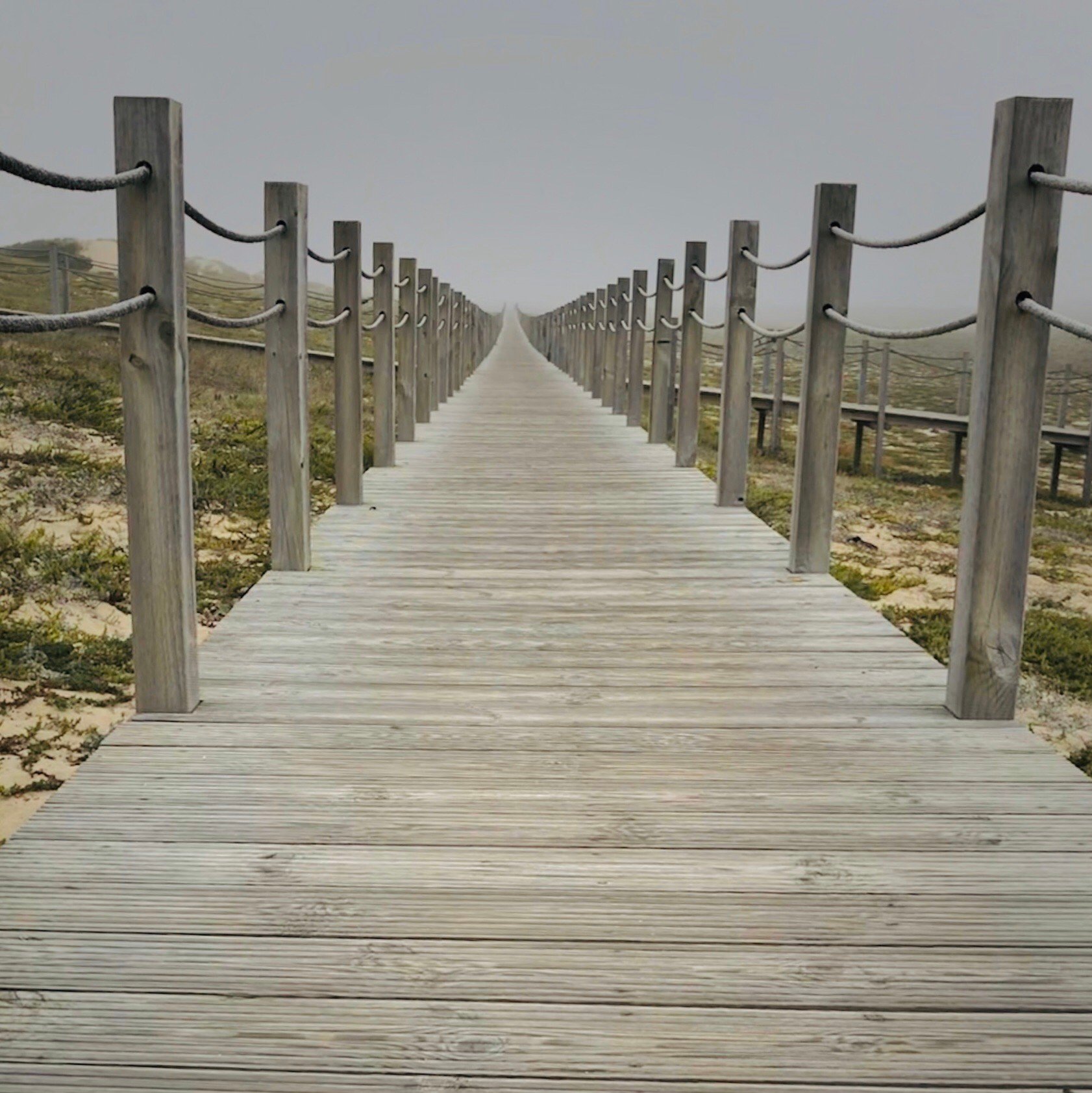 Camino Portugues-官方