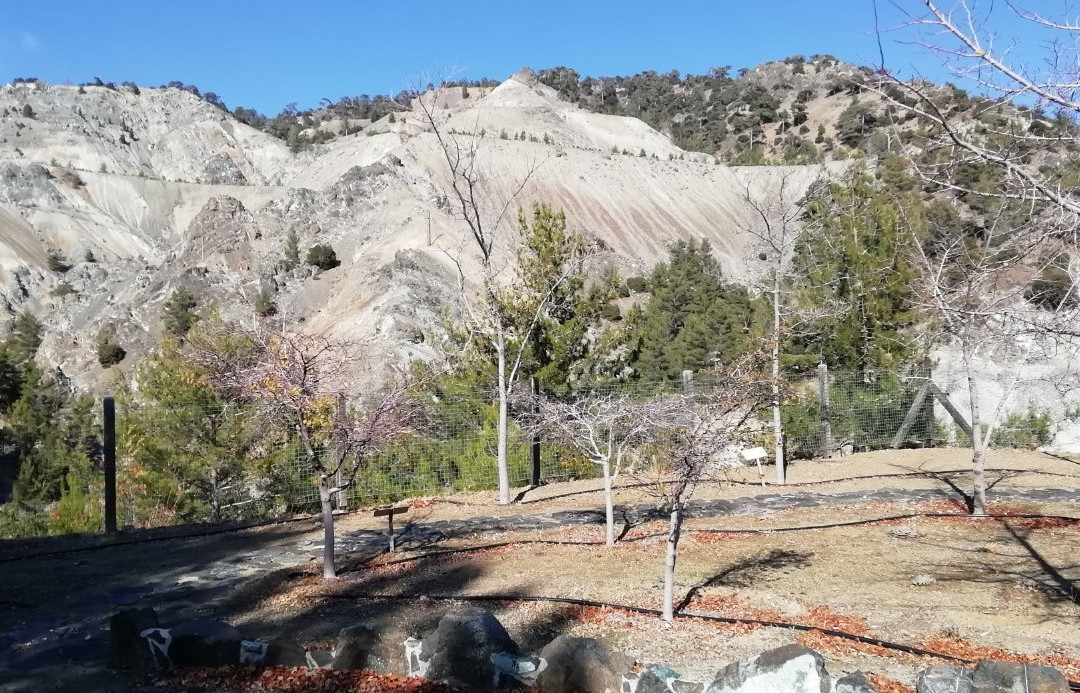 Troodos Botanical Garden景点图片