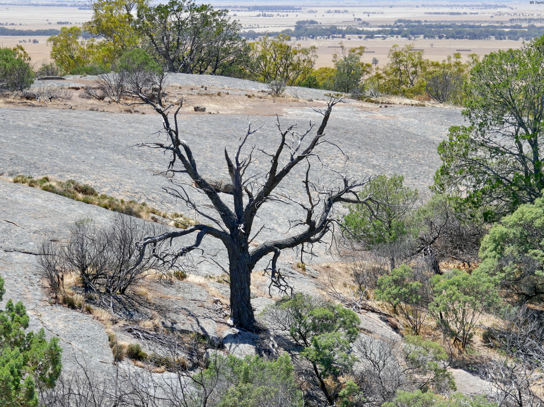Terrick Terrick National Park-Mitiamo必去景点