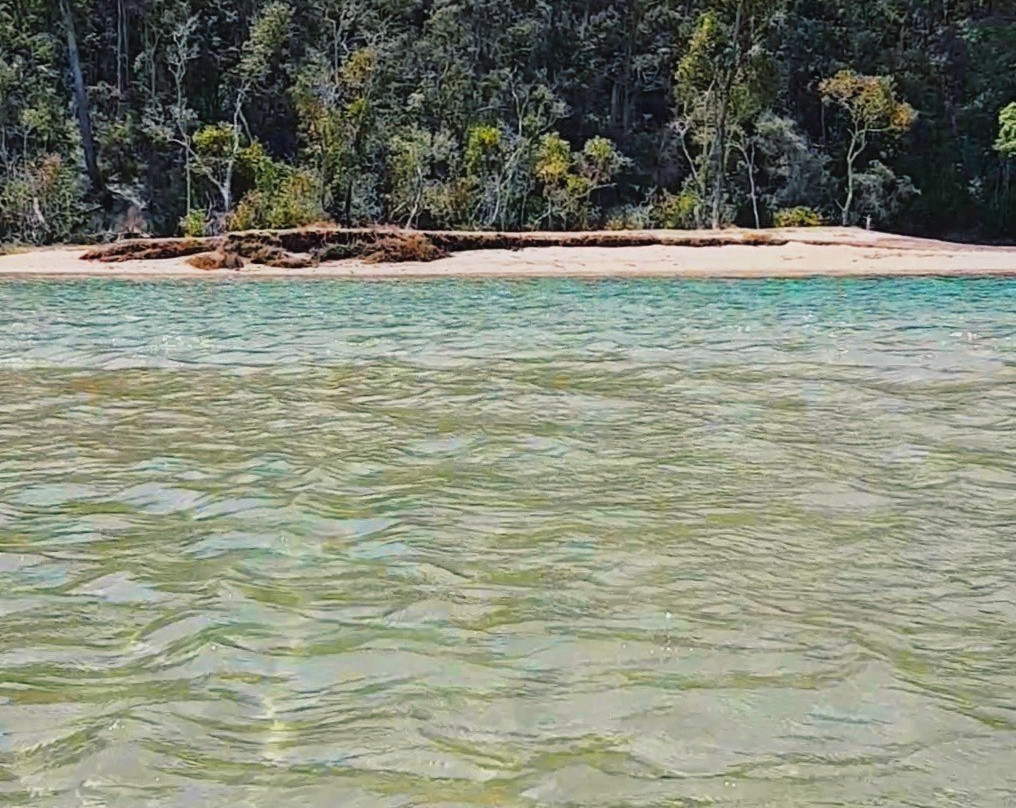 Action Outdoor Hire-棕榈海滩必去景点