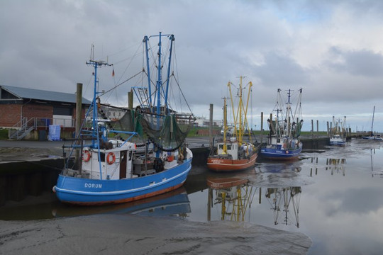 Kutterhaefen-Dorum必去景点