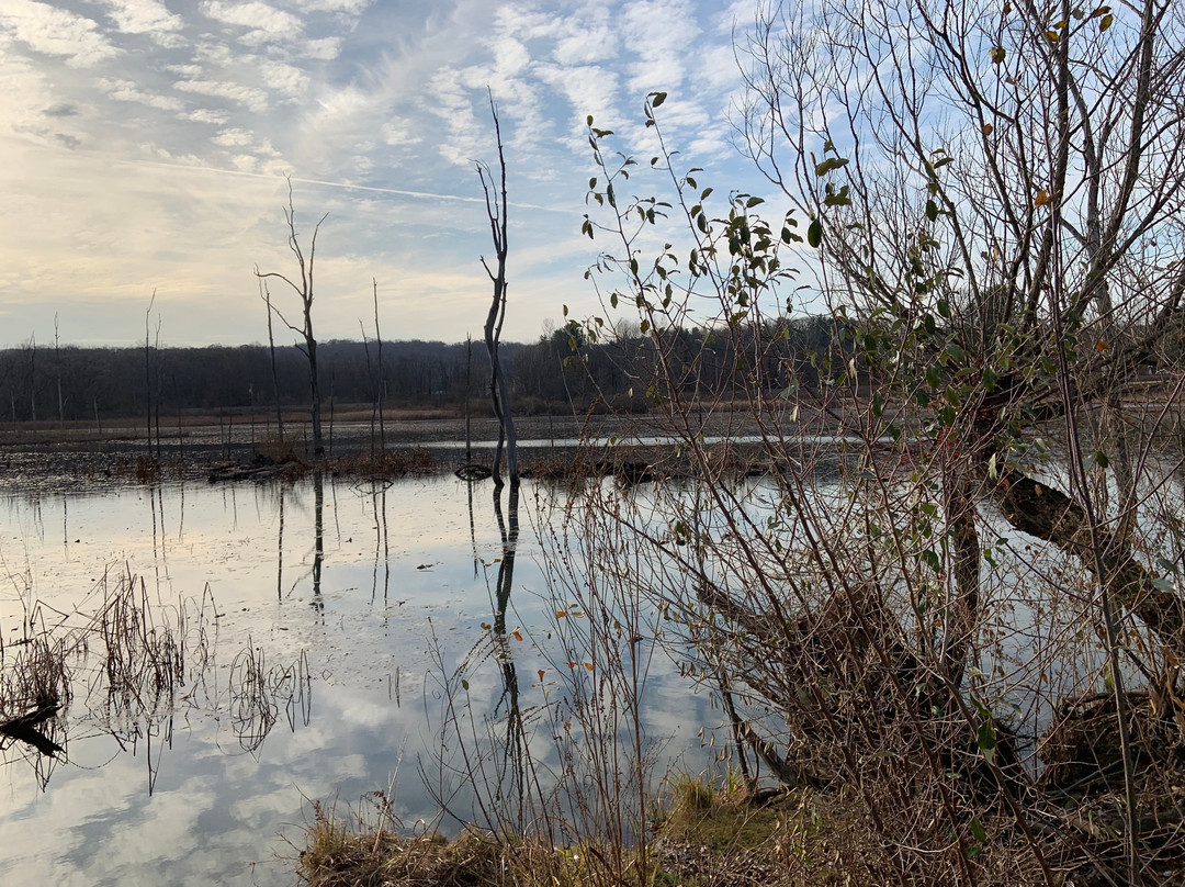 Beaver Marsh-Peninsula必去景点