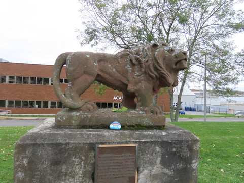 The statue of a lion-悉尼必去景点