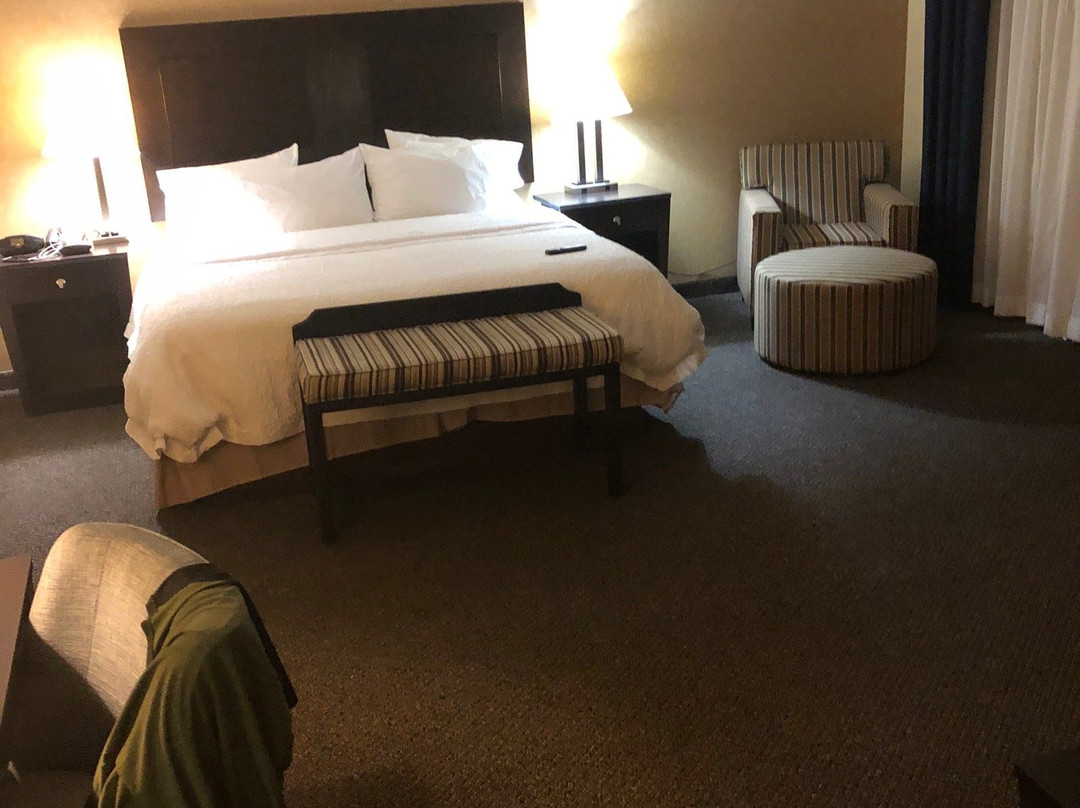 Hampton Inn & Suites Woodward主图