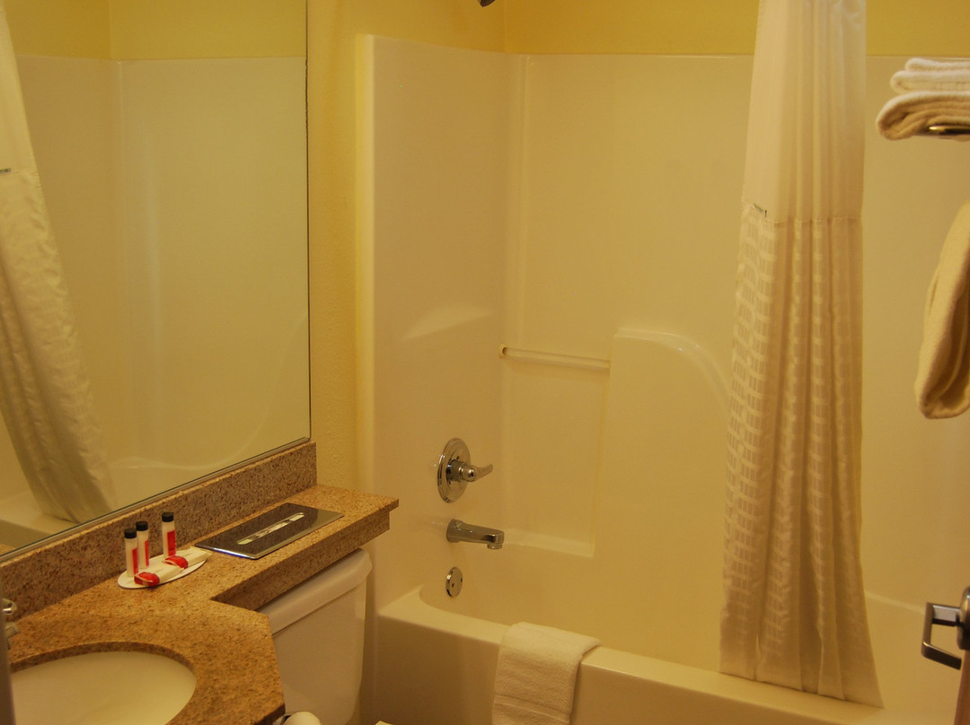 Microtel Inn & Suites by Wyndham Indianapolis Airport主图