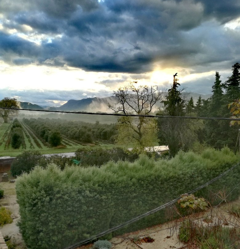 Les Cigales Dromoise主图