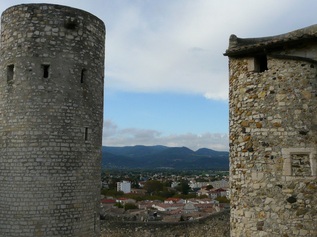 Château de Montélimar景点图片